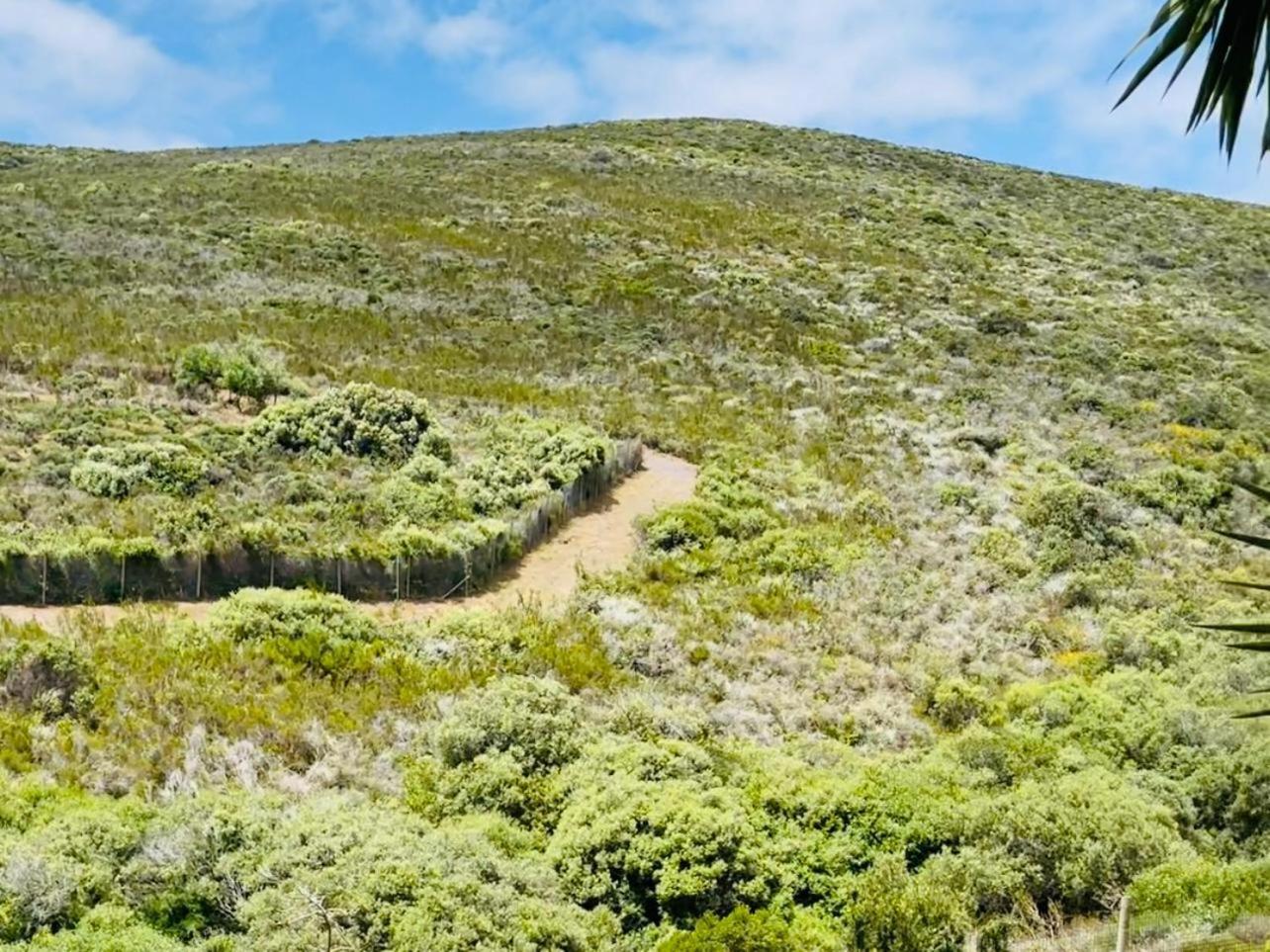 Vibes Plattekloof Cape Town